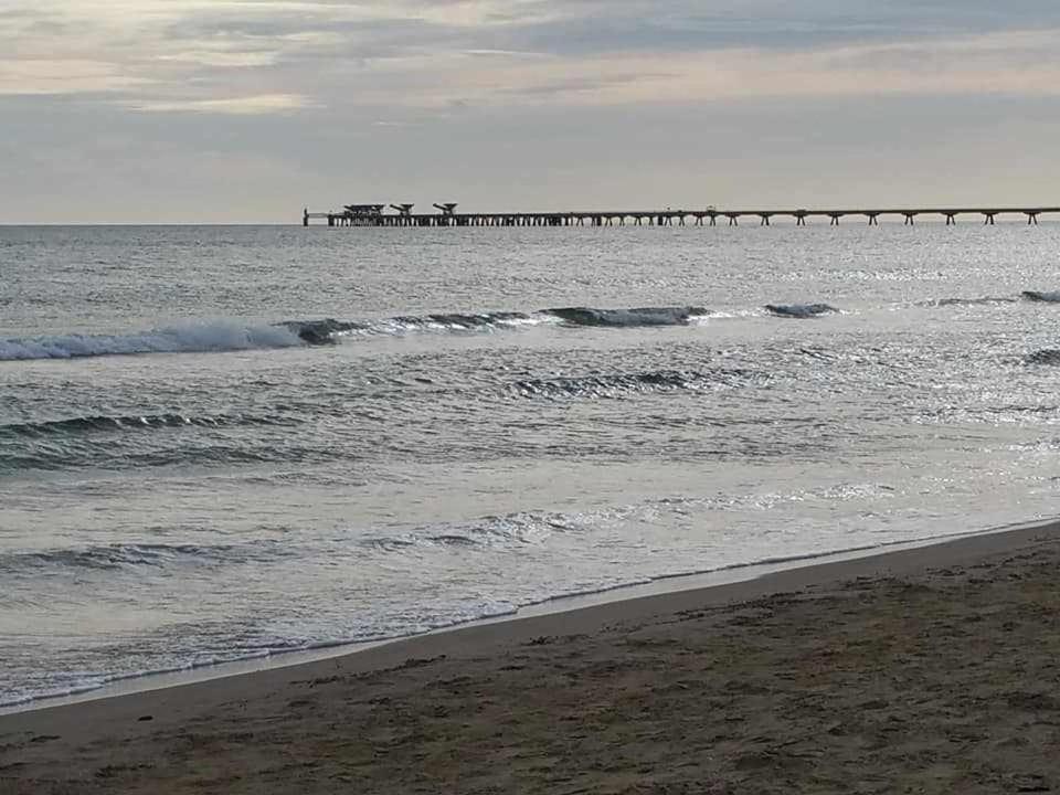 Mediterrania Marina Sagunto 외부 사진