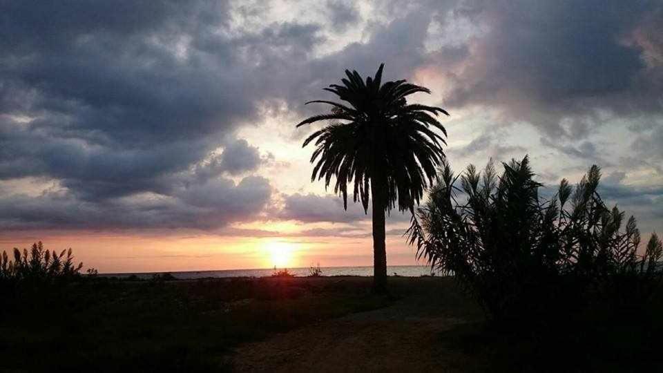 Mediterrania Marina Sagunto 외부 사진