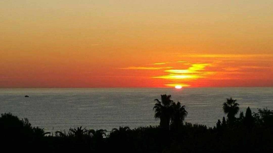 Mediterrania Marina Sagunto 객실 사진