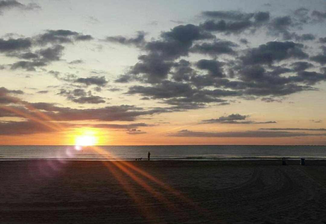 Mediterrania Marina Sagunto 객실 사진
